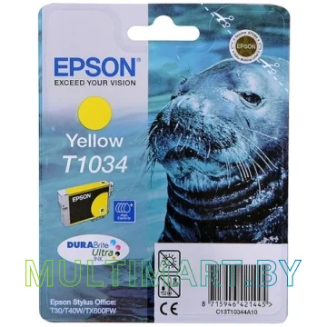 Картридж Epson C13T10344A10